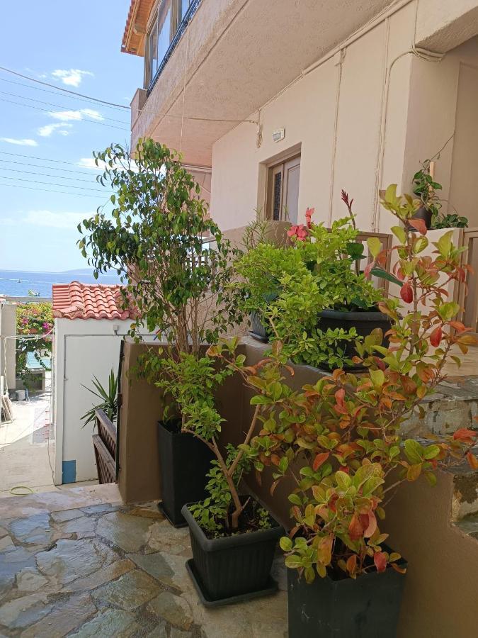 Buganvilla Sea View Apts Agia Pelagia Eksteriør bilde